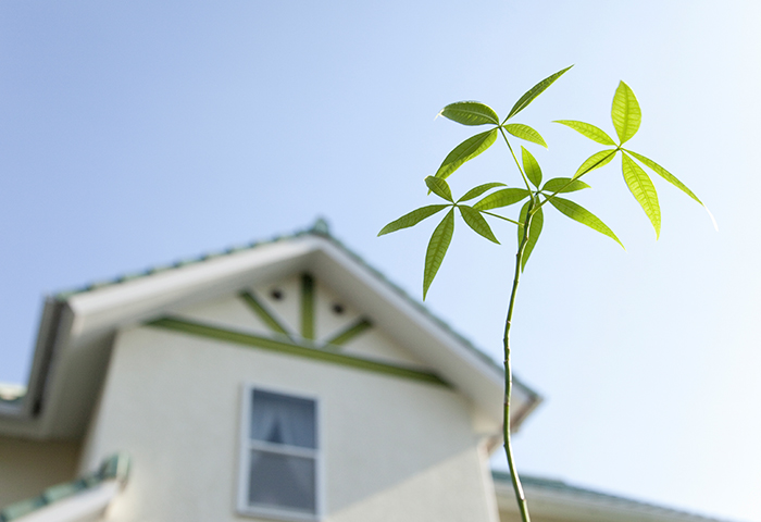 任意売却のご相談・解決方法事例詳細